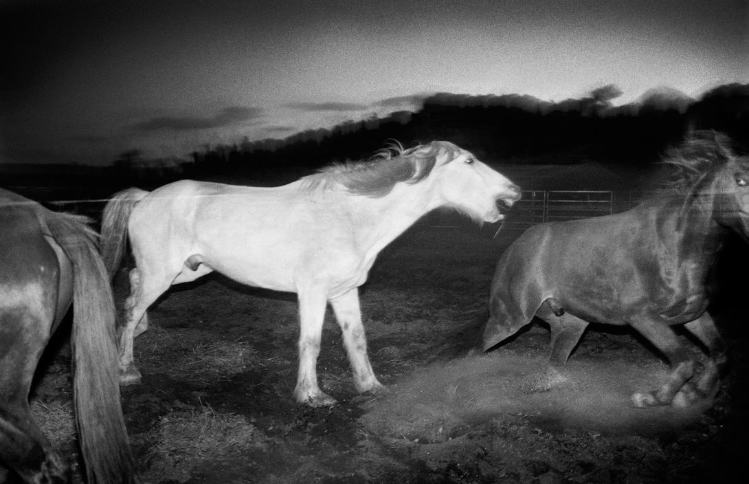 After the rodeo (from the series Minutes to midnight), 2004